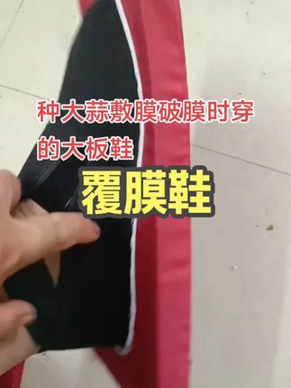 种大蒜的好帮手