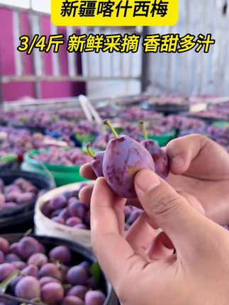 西梅的正确吃法,你学会了吗#西梅 #优质农产品