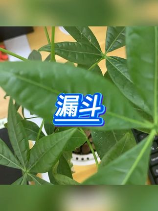 漏斗 #厨房漏斗 #大口径漏 #油酒分装 #漏斗 #工具