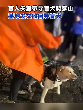 目击者回应盲人夫妻带导盲犬爬泰山 #热点 #导盲犬
