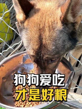 鲜肉配比和冻干含量经得起对比,全犬型适用 #狗粮推荐#冻干#中大型犬#性价比超高#宠物