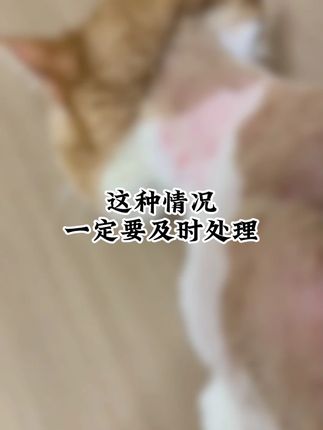 猫狗皮肤喷剂 宠物皮肤情况要尽早处理,不要去走弯路,价格划算,闭眼入#新手养狗 #宠物皮肤喷剂 #萌宠出道计划