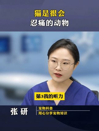 猫是很会忍痛的动物 #猫咪 #新手养猫 #养猫人 #科学养宠攻略 #养猫经验分享