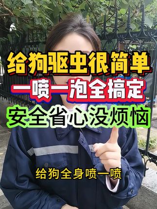 给狗驱虫很简单,一喷一泡全搞定,安全省心没烦恼#养狗经验分享 #狗狗驱虫 #狗狗寄生虫 #给狗洗澡 #给狗驱虫