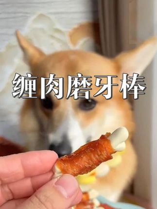 缠肉磨牙棒 肉香四溢的钙奶骨,0添加剂,0防腐剂,0诱食剂!适合小狗补钙当零食喂养#狗零食#宠物零食#养狗#萌宠好物