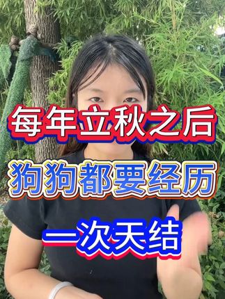 #养狗经验分享 #养狗的乐趣 #土狗 #萌宠出道计划