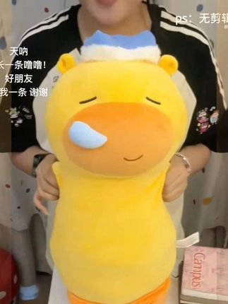 #亚比囧囧囧 #阔爱炸了 #水豚噜噜 #噜噜 #水豚
