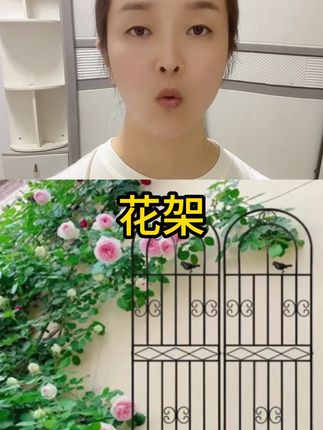 铁线莲月季爬藤架子蔷薇植物攀爬网支架户外庭院铁艺花园栅栏花架