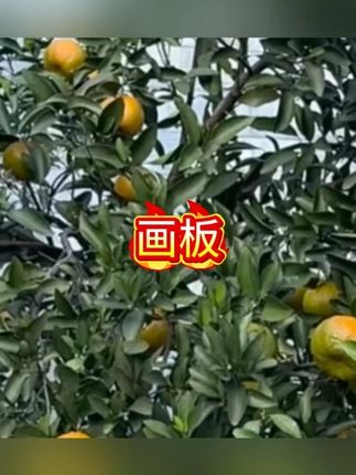 创想式界-高清16寸液晶画板加大号儿童画画板手写字板早教益智 #早教益智 #早教益智启蒙 #儿童玩具 #玩具推荐 #早教益智玩具