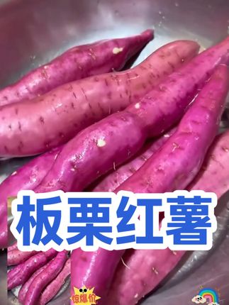 正宗陕西临潼新鲜板栗红薯粉面番薯粗粮小香薯烤地瓜甜3-5斤代 #红薯 #粗粮 #代餐 #番薯 #地瓜