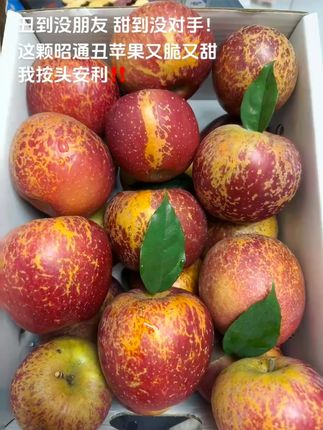 昭通丑苹果,别看皮上有点“小雀斑”,咬一口全是糖心甜!日照足,温差大,自然长熟不催熟。丑是丑了点,但果肉脆嫩,汁水多到飙,甜得实实在在。咱吃的是味道,不是颜值。昭通丑苹果,丑得有道理,甜得够地道!#丑苹果 #又脆又甜 #新鲜应季水果 #口感特别好 #现摘现发新鲜到家