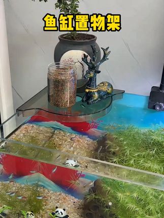 鱼缸这个位置不要浪费了,这个小架子可以试试! #鱼缸置物架 #鱼缸水培