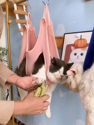 有了这个小吊床,铲屎官在家就可以给猫猫剪指甲、洗耳朵、修毛护毛啦#宠物吊床#新手养猫#萌宠好物