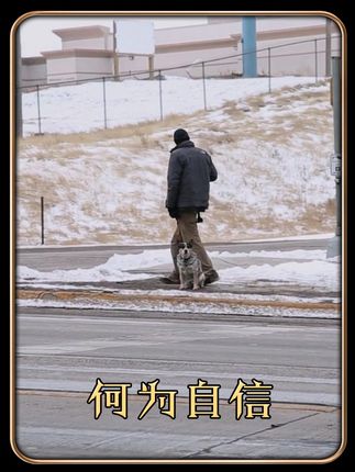什么叫自信? #中国梦 #强国