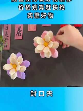 小雏菊花瓣磁吸封口夹,吸在冰箱上,用着就特别方便#封口夹  #密封夹  #居家好物 #封口器  #密封  L
