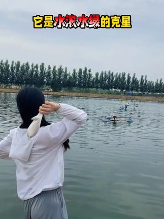 #水产养殖 #养殖 #鱼虾蟹养殖 #三农 #水立清