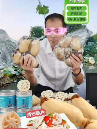 湖北仙桃莲藕小节+中节清甜可口可清炒凉拌适合生吃 这藕太划算了,脆甜爽口好吃#湖北仙桃莲藕 莲藕