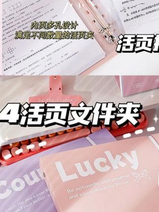 活页文件收纳袋 假期孩子的作业就用这个好看又实用的活页#文件袋 收纳,容量大方便整理#收纳整理理 #学习用品品