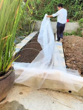大棚防虫网农用养殖场菜地果园网厂家直销防鸟病虫果蝇白粉虱纱网