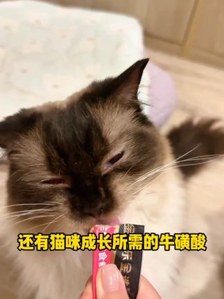 能吃主食猫条就别再喂零食猫条了!-14#金多乐质价比 #金多乐好平替 #养猫人 #科学养宠攻略