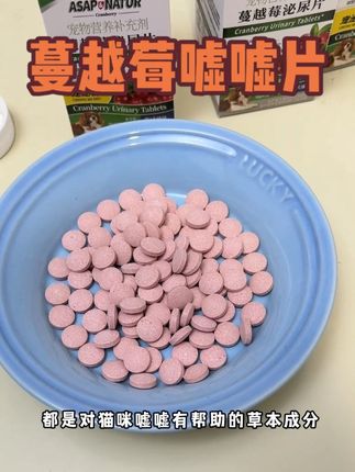 10只公猫9只嘘嘘都有问题,家长千万不要忽视! #萌宠好物 #科学养宠攻略 #猫咪嘘嘘无小事