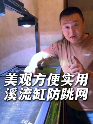 鱼缸防跳网,安装简单,使用方便,有效防止鱼儿跳缸,还不难看。 #防跳网 #鱼缸防跳网 #原生鱼 #养鱼日记 #溪流缸