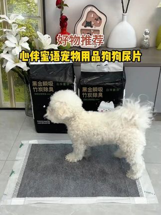 几天不换也不会臭,还能教会狗狗上厕所的训导尿垫#萌宠好物 #新手养狗 #宠物尿垫 #狗狗定点上厕所 #尿垫
