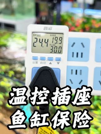 预防加热棒失控煮鱼的办法就是接入温控插座,只要达到设定温度就会立刻断电,安心养鱼#养鱼日记 #温控插座 #水族用品
