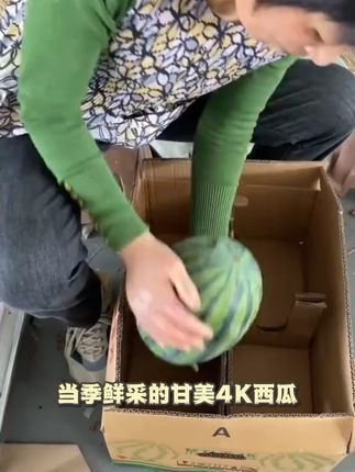 当季现货甘美4K西瓜1个5-9斤装新鲜水果脆甜爽口顺丰发货