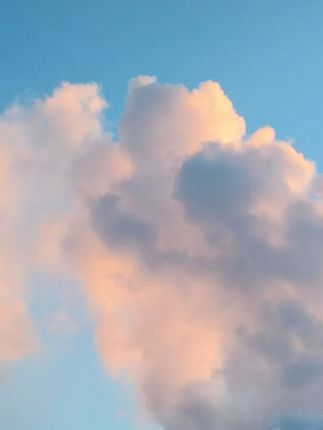 四条装全棉毛巾,新疆棉家用,吸水不掉毛而且亲肤,适合家用#全棉毛巾  #毛巾  #家用毛巾