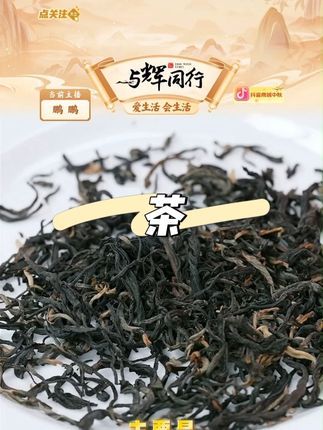 【英红牌】2025年新茶英红九号广东特产英德红茶浓香型口粮茶250克#红茶 #送礼佳品 #今天你喝茶了吗 #茶文化