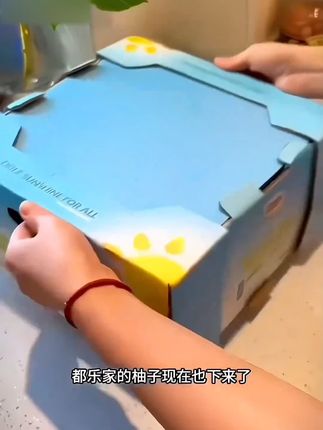 【都乐Dole】国产白肉/红心蜜柚2-4只礼盒装 爆汁肉嫩 酸甜可口解腻#美食