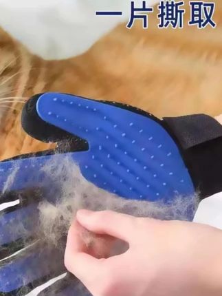 #撸猫手套 郝劭文推荐宠物撸猫手套双面手套去浮毛毛刷按摩宠物洗澡手套狗狗撸毛手套#撸毛手套 #宠物手套 #去浮毛手套 #宠物撸毛手套