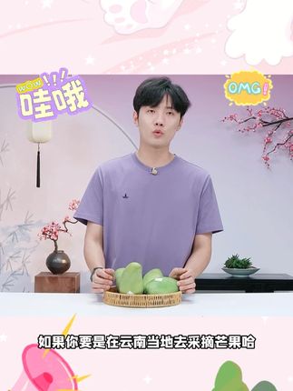 【云南高山青皮金煌芒】软熟食用香甜多汁当季可生吃大青芒 #云南高山青皮金煌芒 #云南青皮金煌芒 #青皮金煌芒 #金煌芒 #好物分享 @DOU+好生意 @DOU+小助手