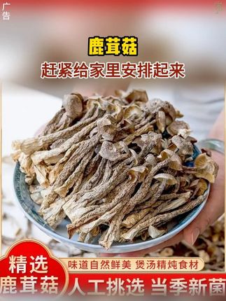 今天炒的这个鹿茸菇,清脆爽口 特别下饭!炒起来也很方便!#家常菜 #鹿茸菇 #一日三餐人间烟火 #好吃到停不下来 #菌菇