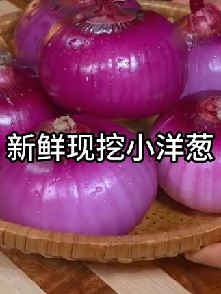 紫红色小洋葱洋葱头好吃不贵经济实惠可以生吃凉拌洋葱产地直销-12#紫红色小洋葱 #小洋葱 #水果洋葱 #美食分享 #洋葱
