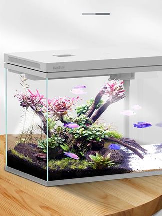 森森桌面鱼缸家用小型超白玻璃斗鱼缸生态水族箱新手养宠#养鱼 #鱼缸 #超白鱼缸 #空气缸 #鱼缸里的大自然