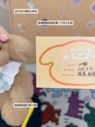 这可都是男朋友亲自生的崽崽呀,我们的感情也会像这些玩偶一样永久保存 #手工diy  #录音玩偶