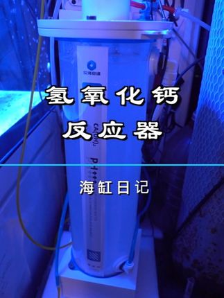 海缸提升ph 稳定ph 氢氧化钙反应器 1 石灰水反应器#海缸 #氢氧化钙 #海水鱼珊瑚 #石灰水反应器 #ph @小亮海水日记