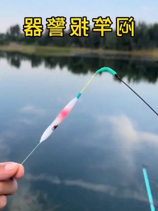 成夕闷竿夜钓竿稍发光咬钩变色爆闪电子竿稍灯闷竿双色闷竿上浮漂#浮漂 #浮漂推荐 #夜钓浮漂 #电子浮漂 #高品质浮漂