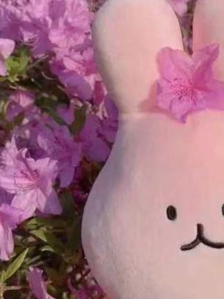 哈卫洁齿漱口水清新口气植物萃取正品深入清洁持久留香清爽果味