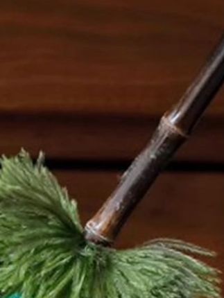 鸵鸟孔雀除尘掸子高档复古防静电家用鸡毛掸子加密清洁扫灰神器#除尘掸子 #家用清洁 #防静电 #高档复古 #清洁神器