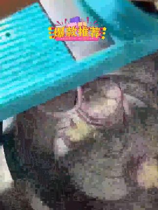 龙江擦丝器商用版土豆丝切丝器切片多功能切菜器擦菜板刨丝器厨房
