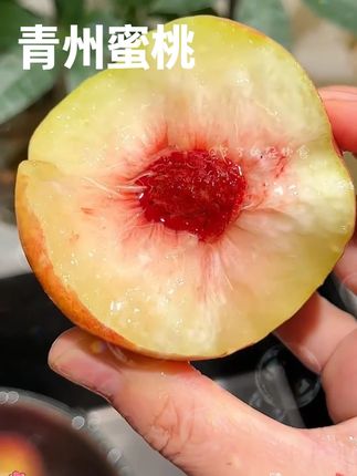 正宗青州蜜桃,脆甜多汁#桃 #脆蜜桃 #青州脆甜蜜桃 #优质农产品 #超便宜超划算