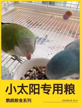 小太阳金太阳和尚专用粮、牡丹玄风专用粮、虎皮鹦鹉专用粮 #鹦鹉 #鹦鹉粮食 #鹦鹉粮 #小太阳鹦鹉 #金太阳鹦鹉粮食 #牡丹玄风鹦鹉粮食 #虎皮鹦鹉粮食