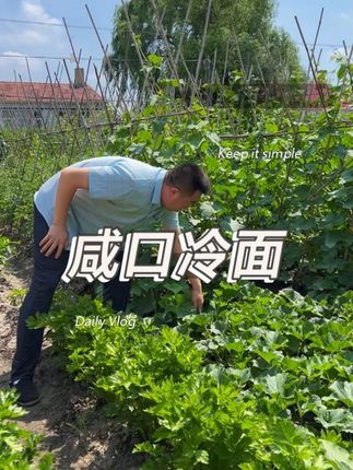 咸口冷面才是YYDS,这玩意味才好呢!#咸口冷面 #冷面 #咱们村 #美食推荐 #美食分享