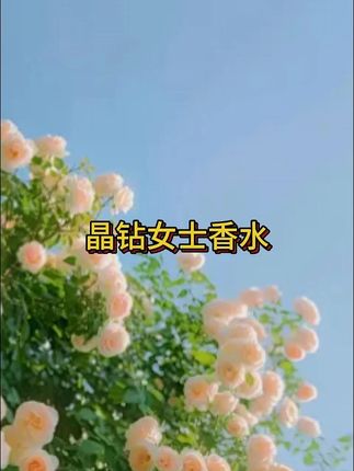 啊啊啊!闻了就让人记住的味道!真的很好闻!没有人能拒绝的了~#香水 #约会神器 #好闻的香水 #香水推荐