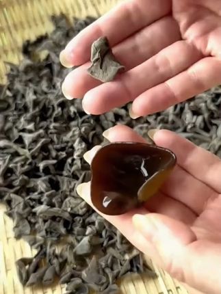 东北黑木耳鼠耳椴木小碗耳500g新货干木耳散装秋木耳云耳肉厚无根