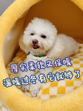 降温了,该给毛孩子准备窝了,厚实柔软又保暖,冬天有它就够了! #宠物保暖窝 #加绒加厚保暖 #厂家直发品质保证 #好物分享 #降温了大家注意保暖