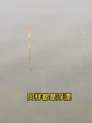 川泽浮漂LX螺旋尾鲫鲤鱼漂醒目大物防风抗走水加粗近视高灵敏鱼漂#浮漂 #浮漂推荐 #高灵敏浮漂 #垂钓浮漂 #鱼漂